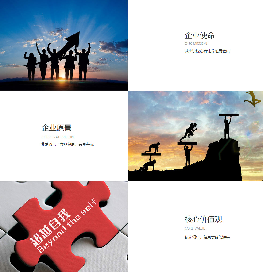 333体育平台(图1)